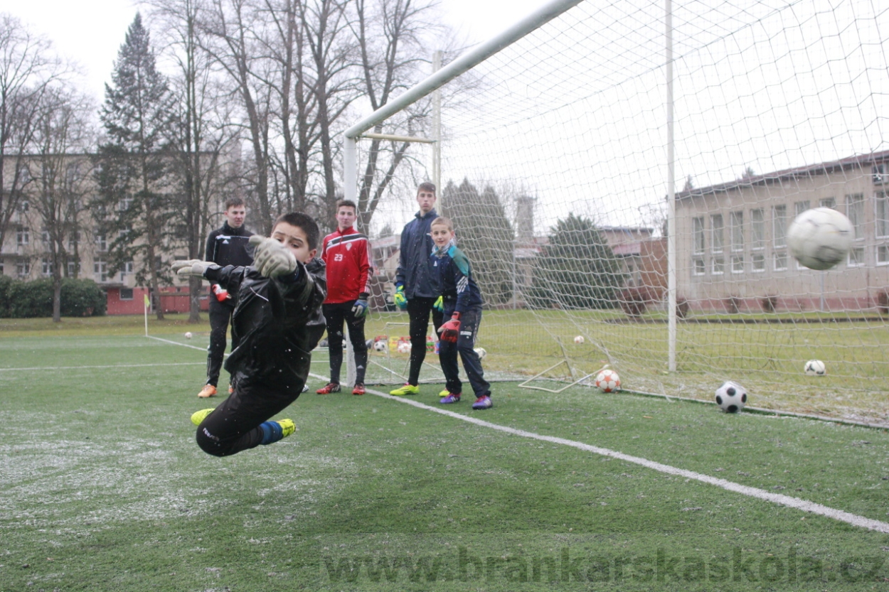 BFŠJCH - Zima 2015 - 31.1.2015