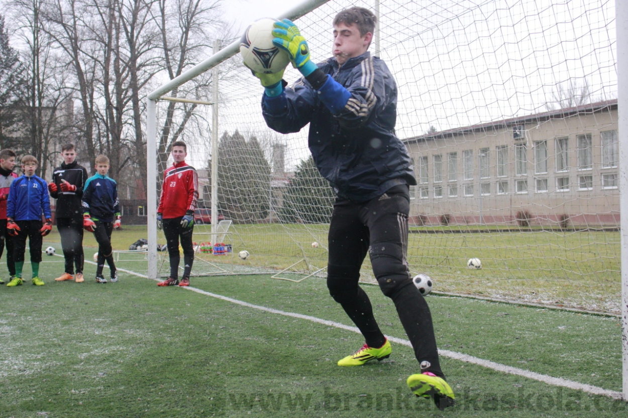 BFŠJCH - Zima 2015 - 31.1.2015