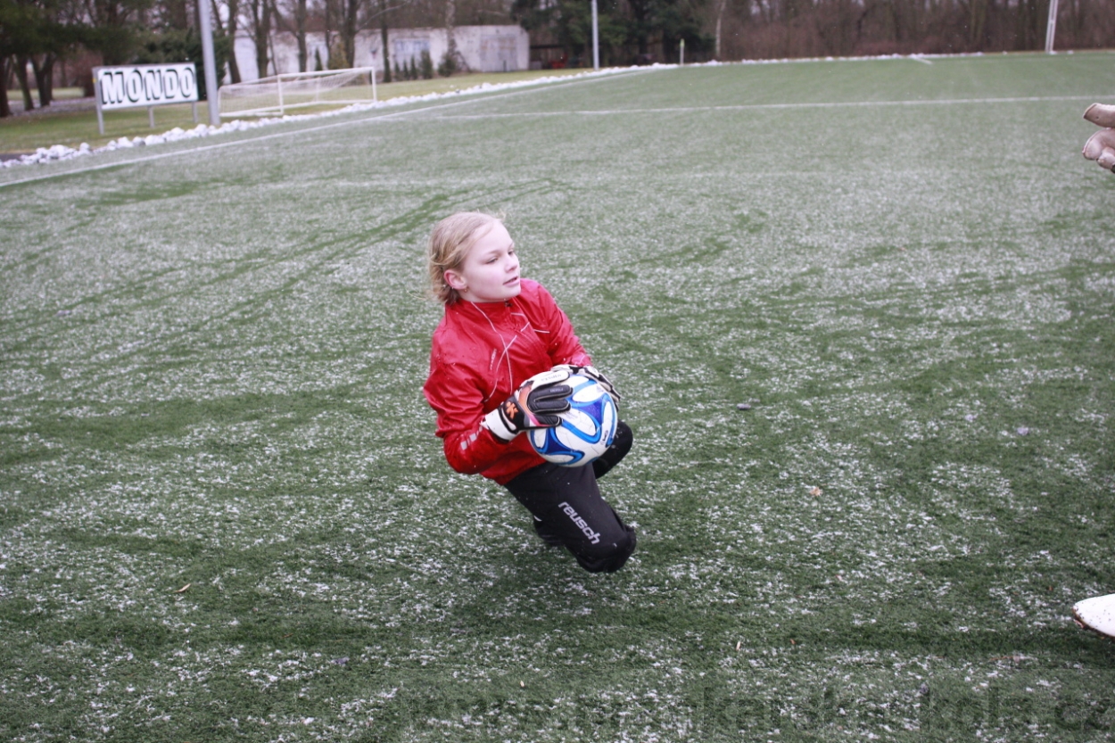 BFŠJCH - Zima 2015 - 31.1.2015