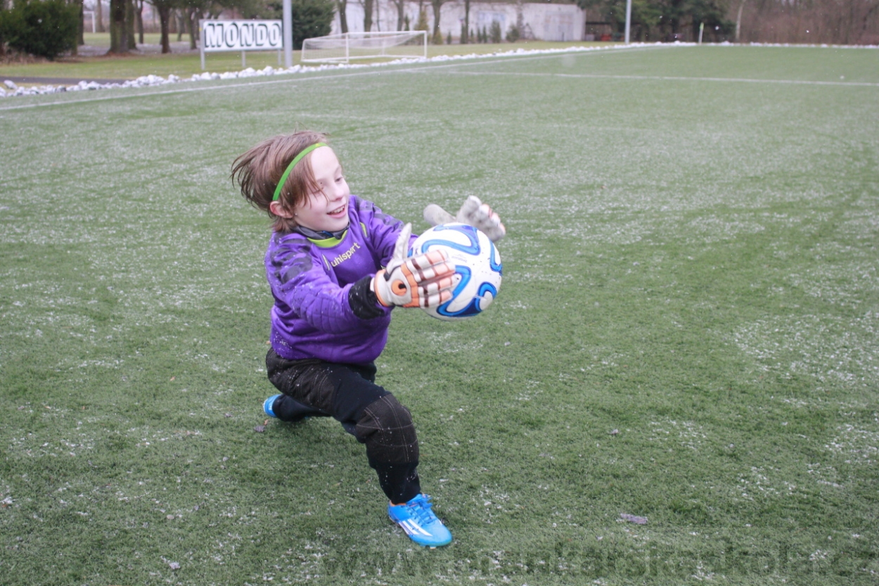 BFŠJCH - Zima 2015 - 31.1.2015