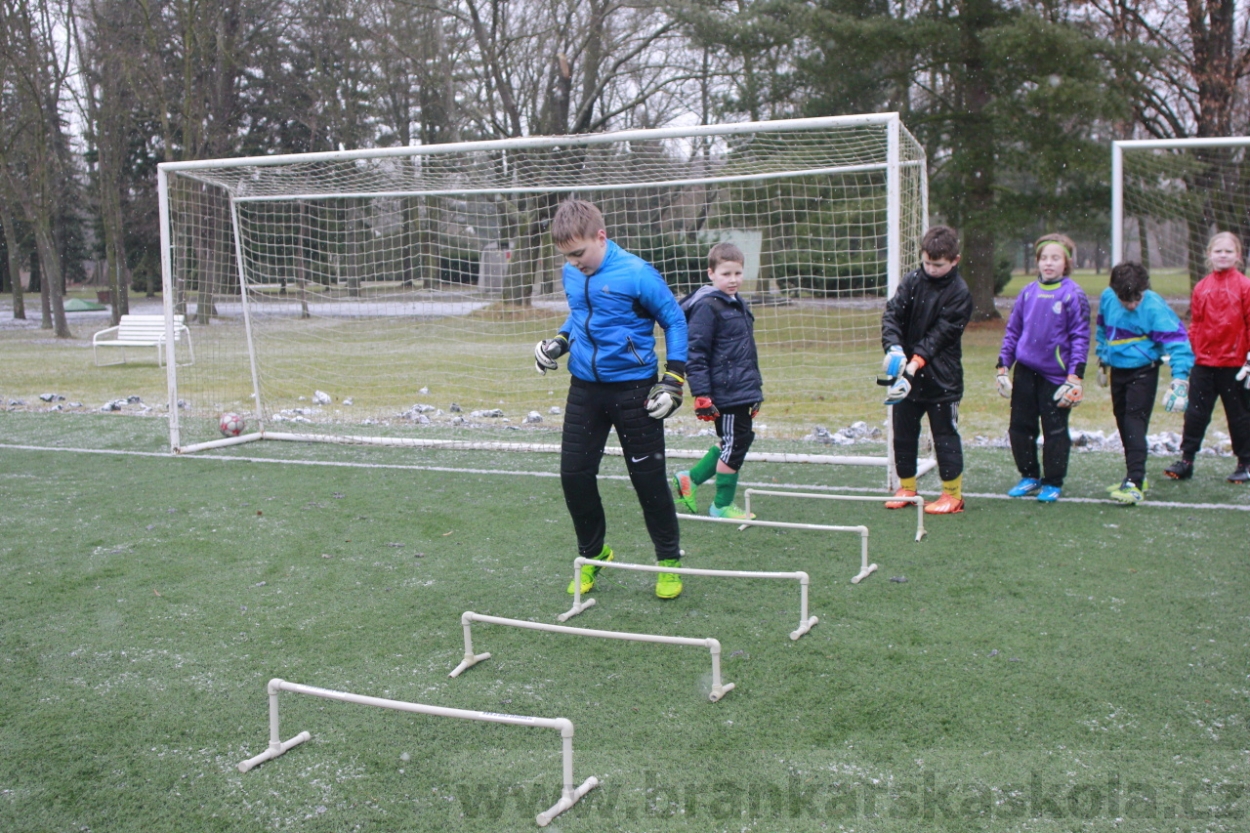 BFŠJCH - Zima 2015 - 31.1.2015