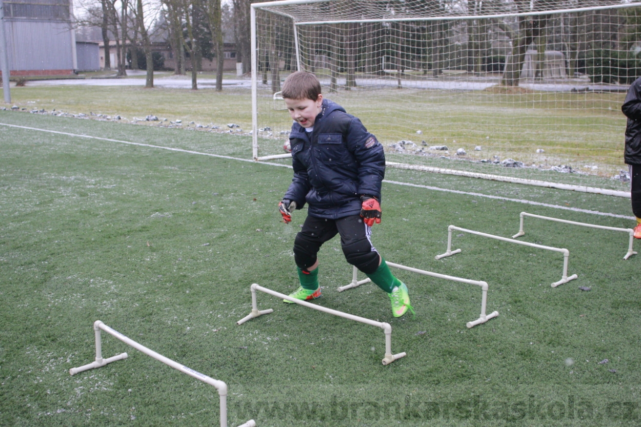 BFŠJCH - Zima 2015 - 31.1.2015