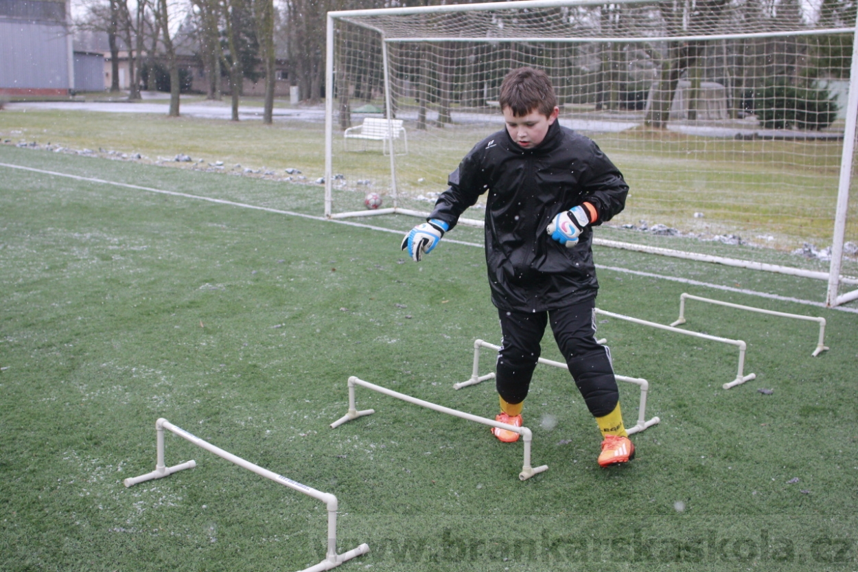 BFŠJCH - Zima 2015 - 31.1.2015