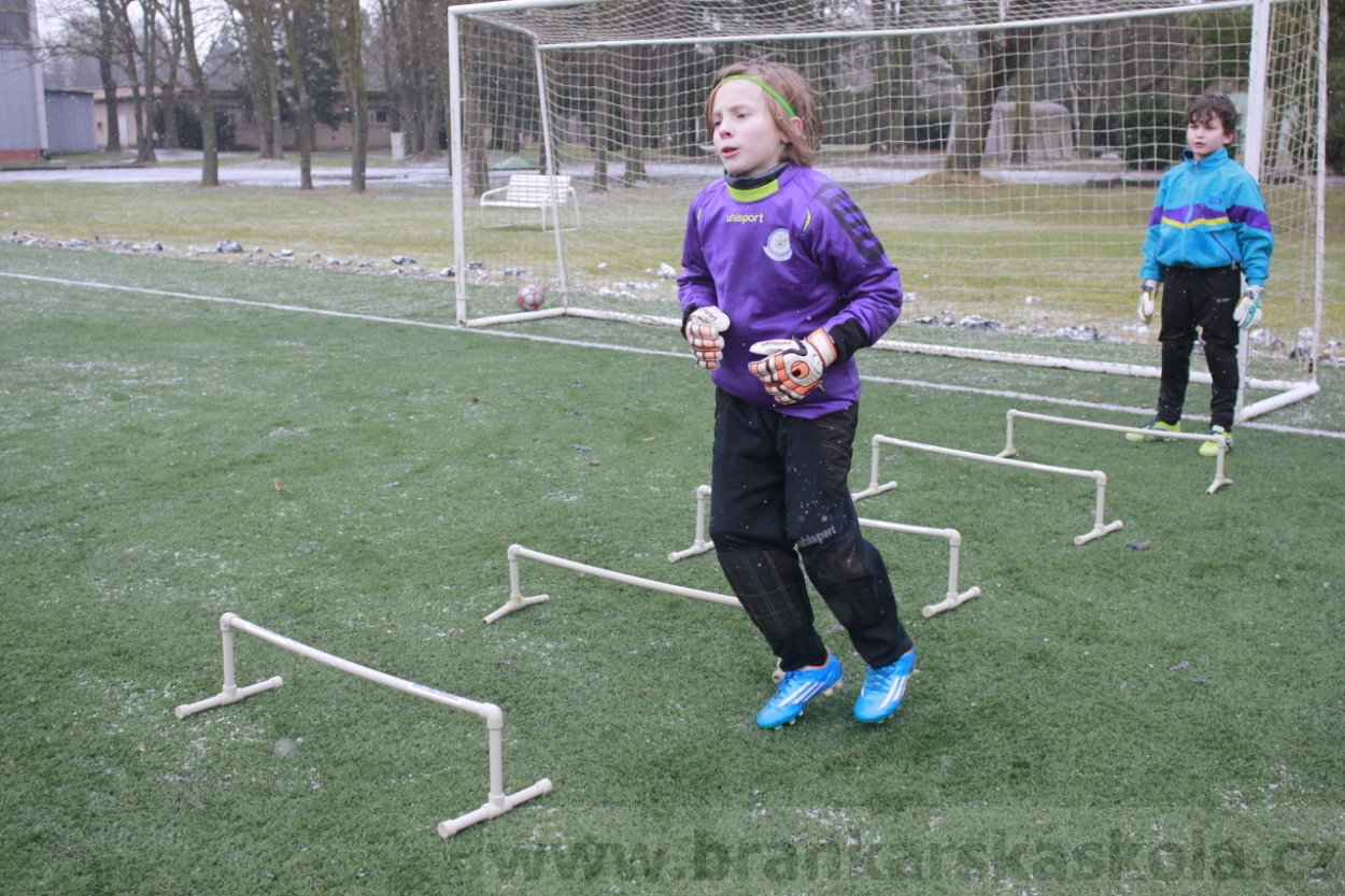 BFŠJCH - Zima 2015 - 31.1.2015