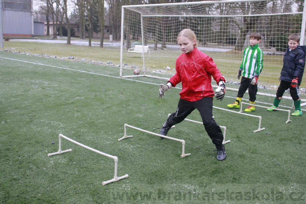 BFŠJCH - Zima 2015 - 31.1.2015