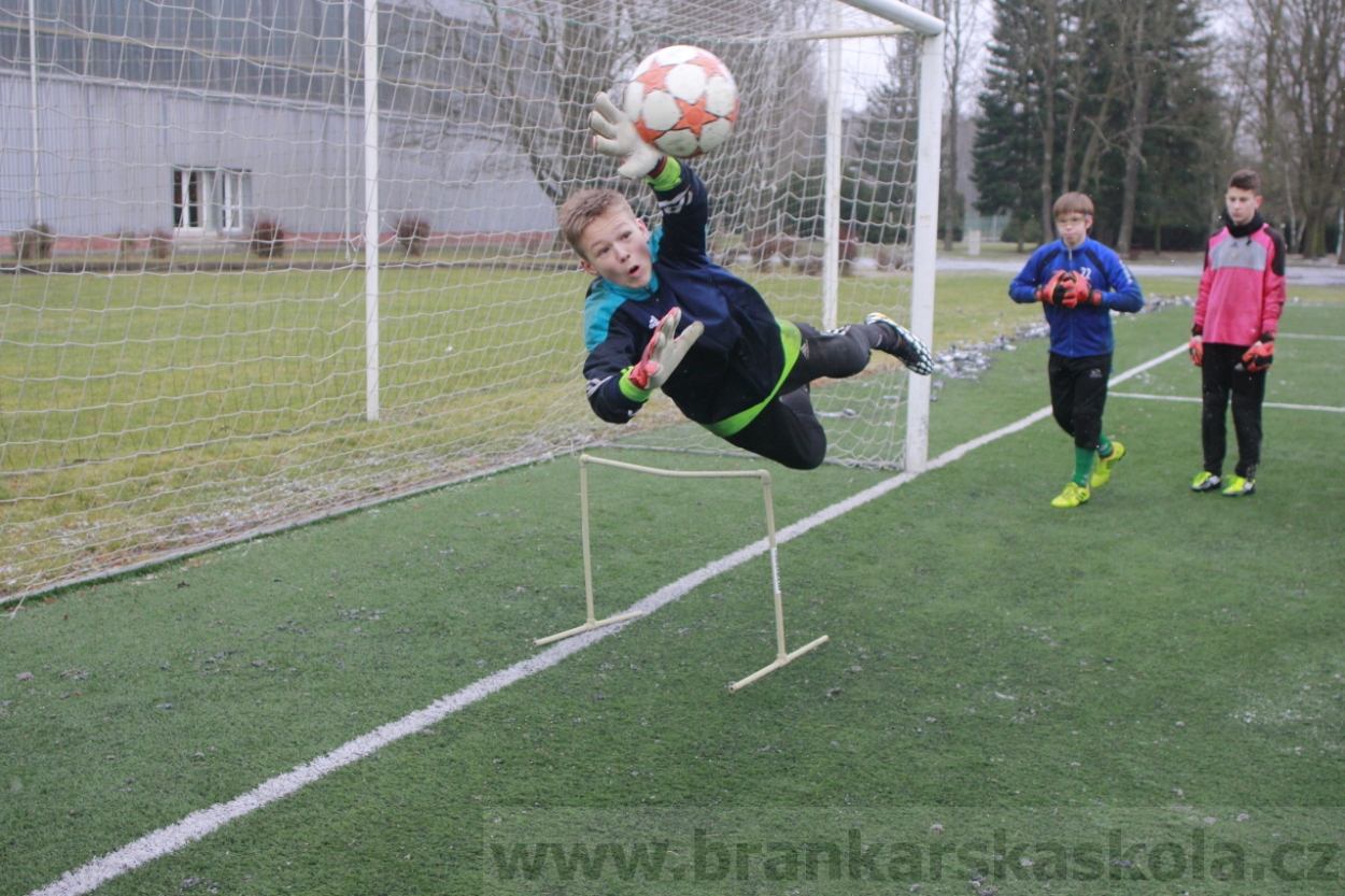 BFŠJCH - Zima 2015 - 31.1.2015