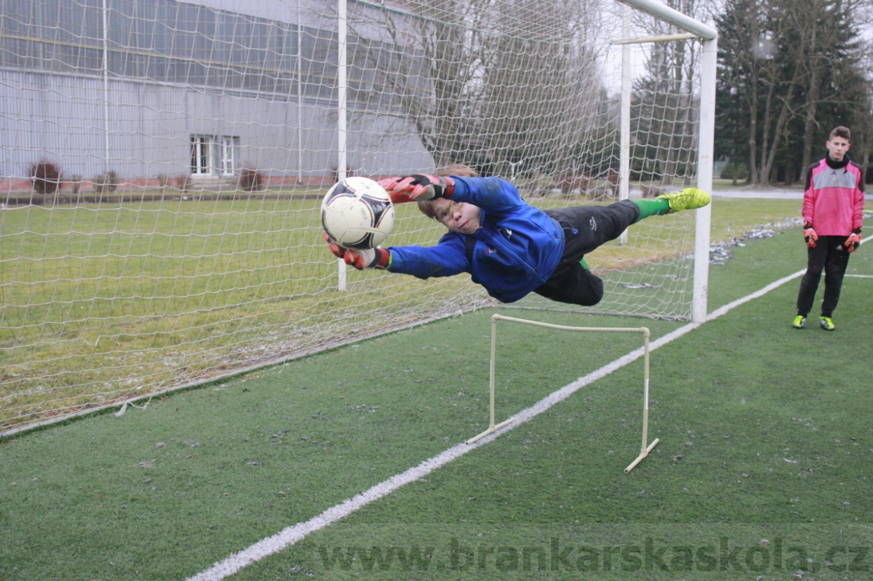 BFŠJCH - Zima 2015 - 31.1.2015