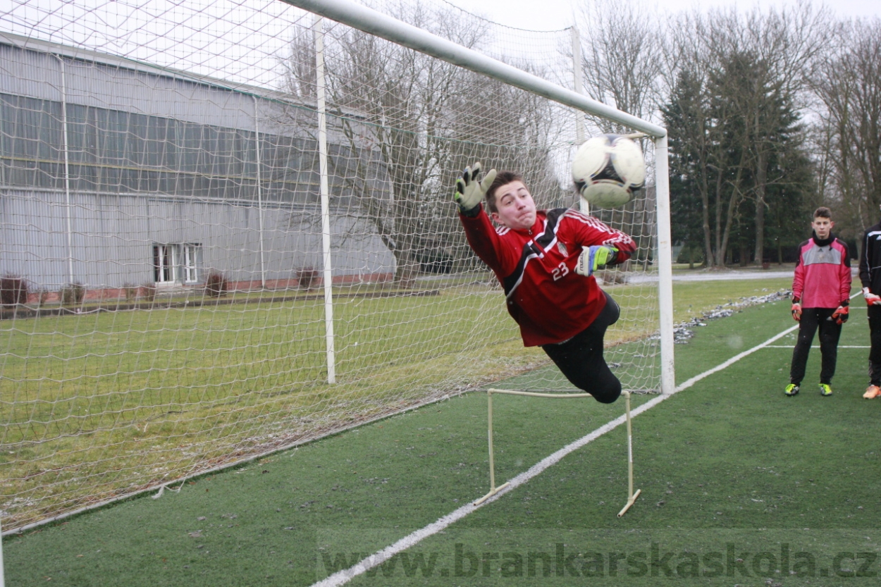 BFŠJCH - Zima 2015 - 31.1.2015