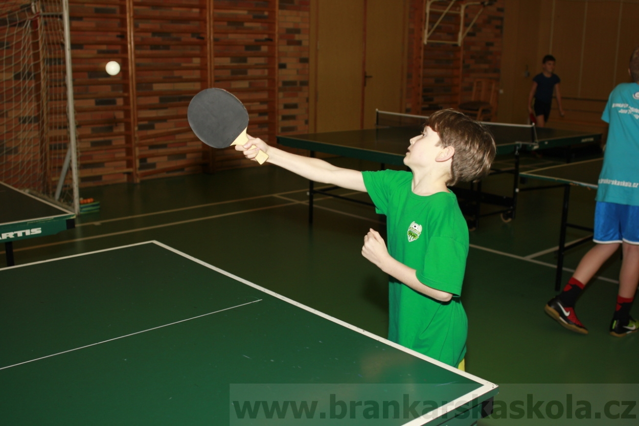 BFŠJCH - Zima 2015 - 31.1.2015