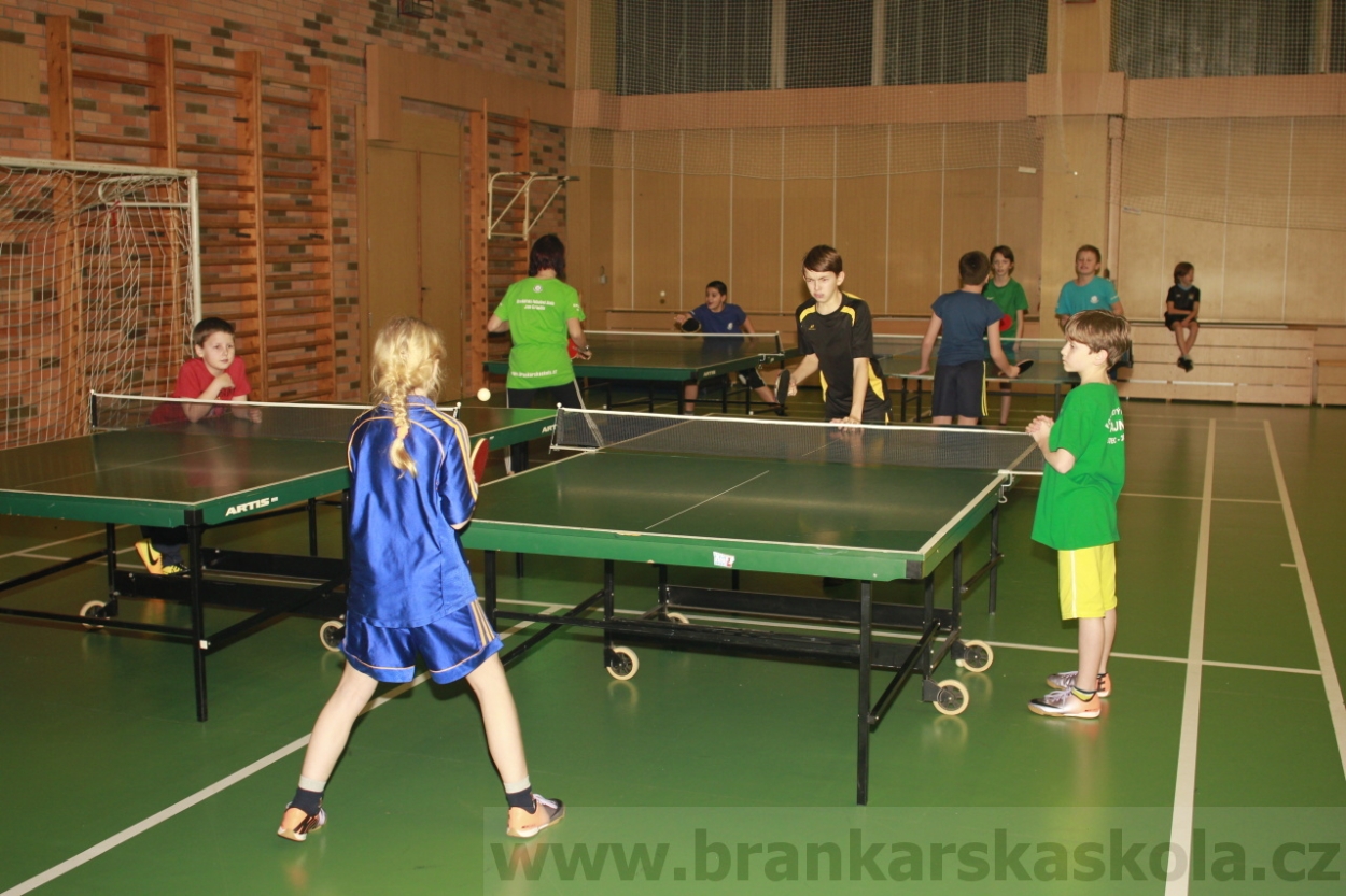 BFŠJCH - Zima 2015 - 31.1.2015