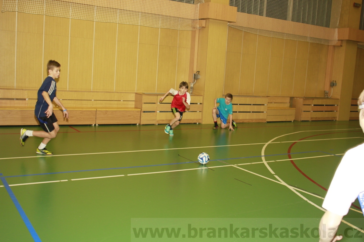 BFŠJCH - Zima 2015 - 31.1.2015