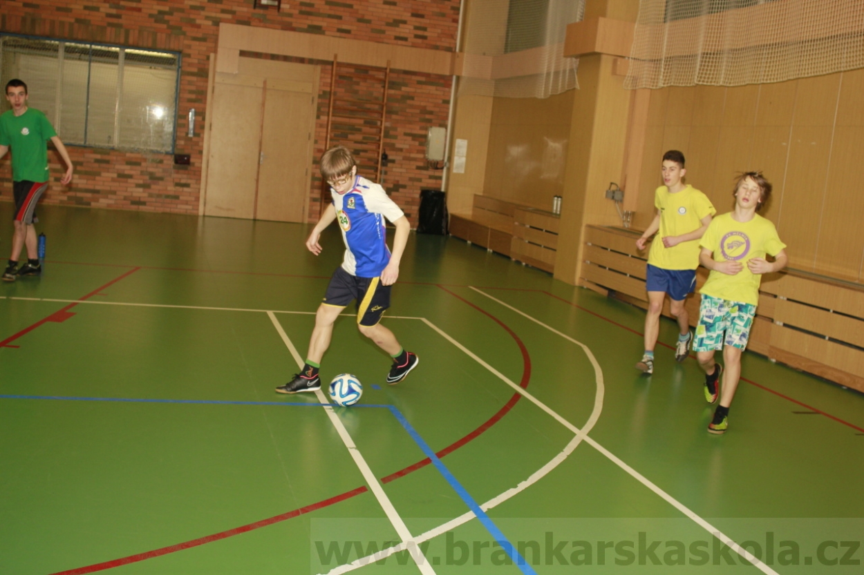 BFŠJCH - Zima 2015 - 31.1.2015