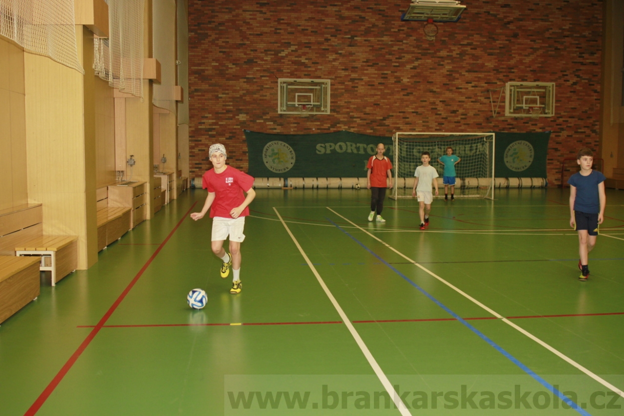 BFŠJCH - Zima 2015 - 31.1.2015