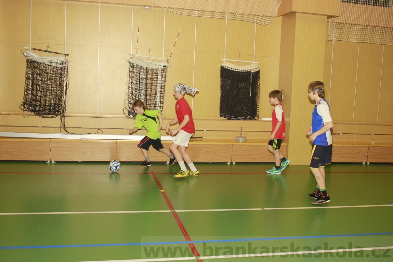 BFŠJCH - Zima 2015 - 31.1.2015