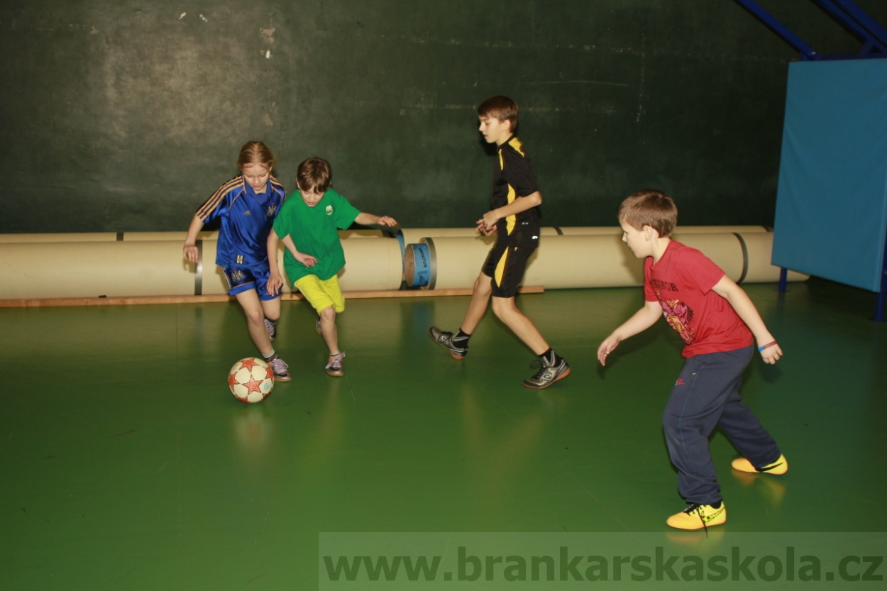 BFŠJCH - Zima 2015 - 31.1.2015