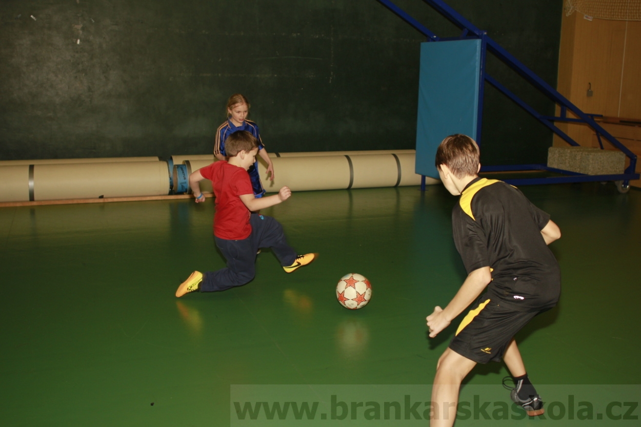 BFŠJCH - Zima 2015 - 31.1.2015