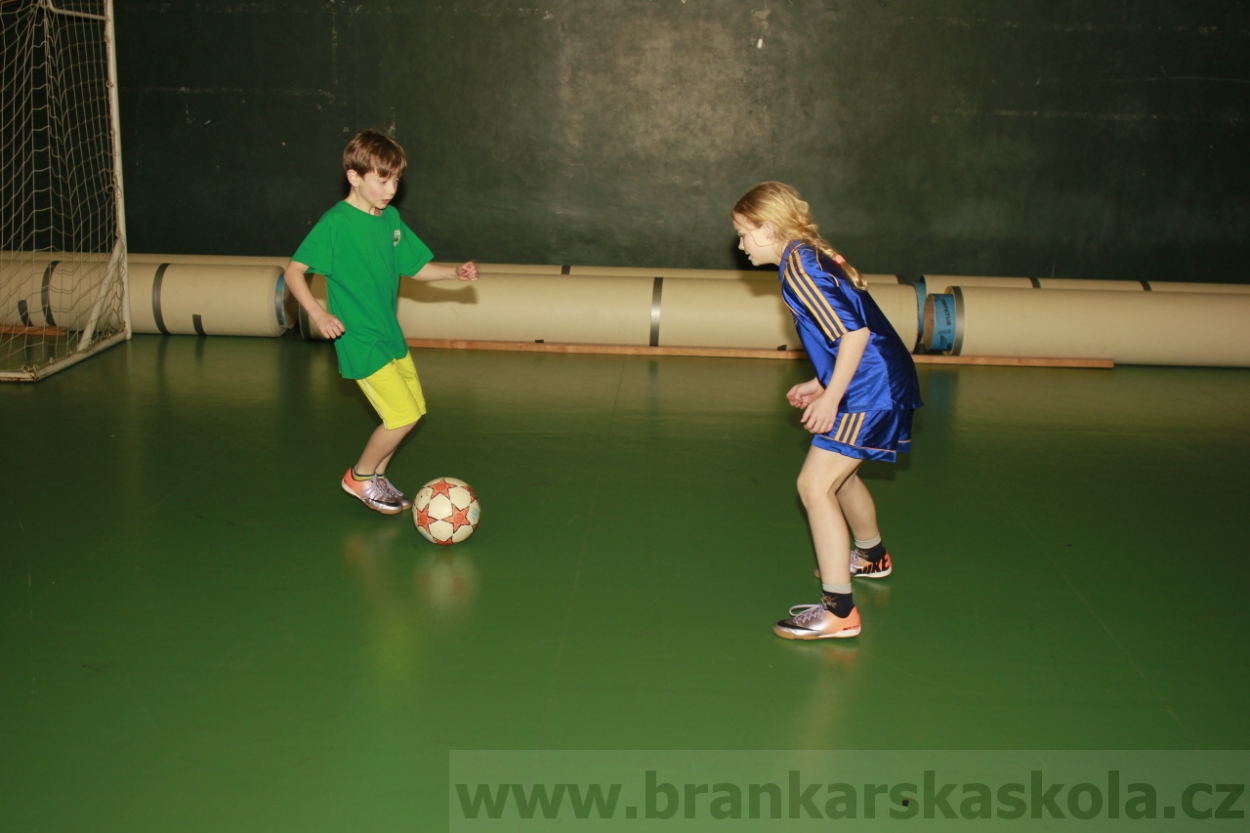 BFŠJCH - Zima 2015 - 31.1.2015