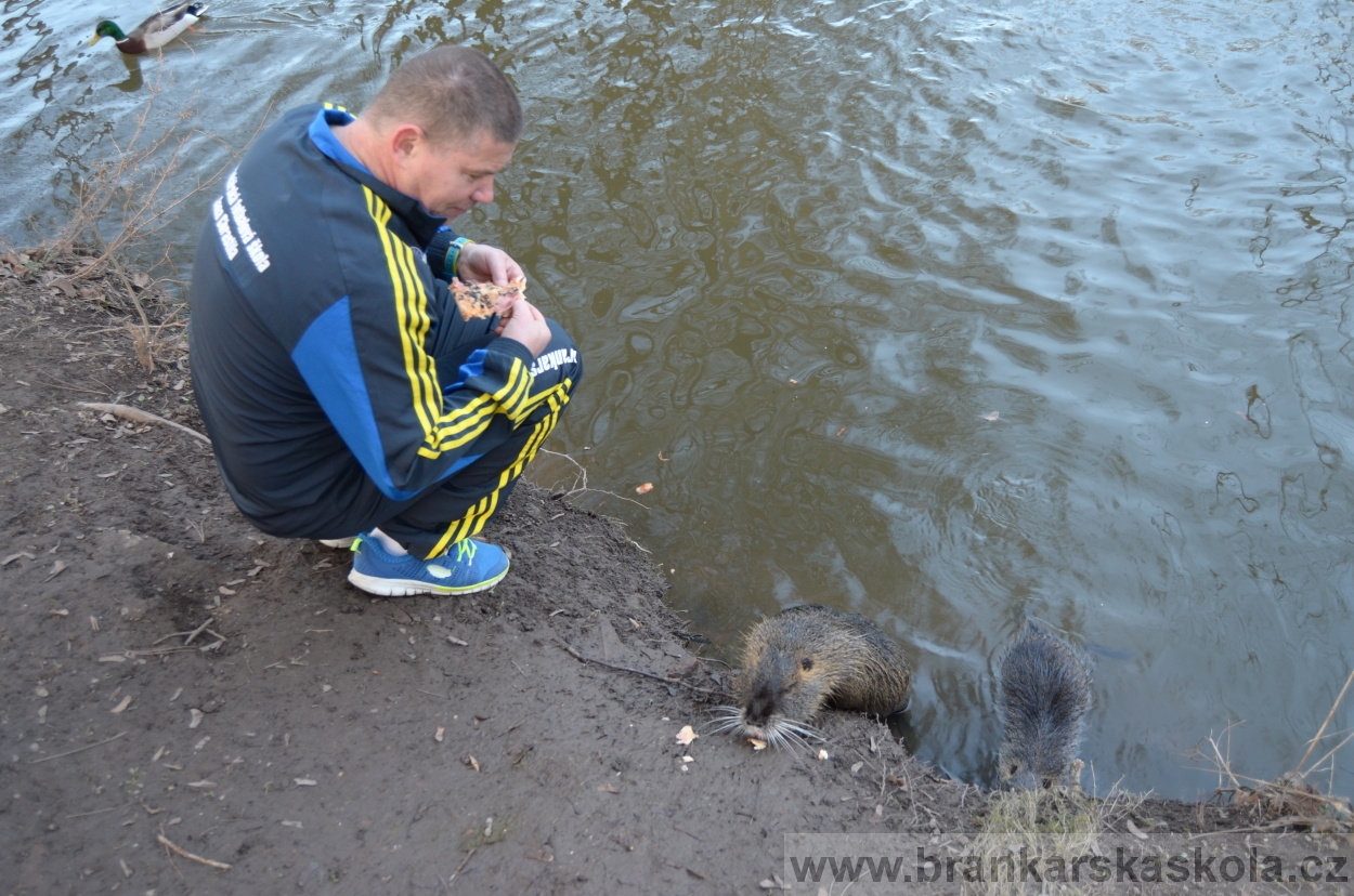 BFŠJCH - Zima 2016 - 10.2.2016