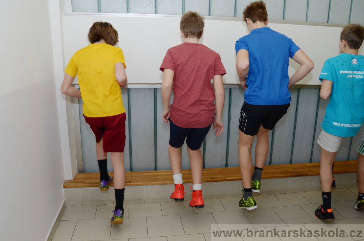 BFŠJCH - Zima 2016 - 10.2.2016