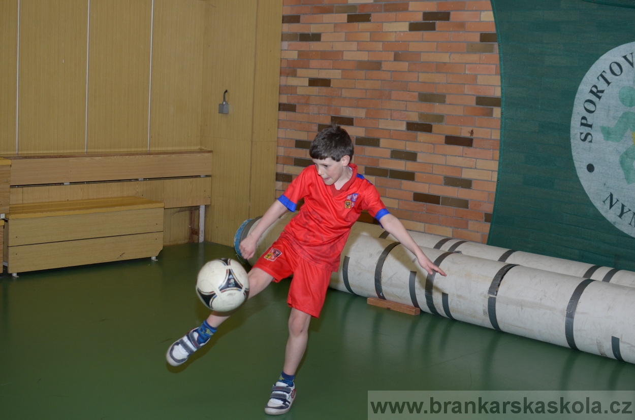 BFŠJCH - Zima 2016 - 10.2.2016