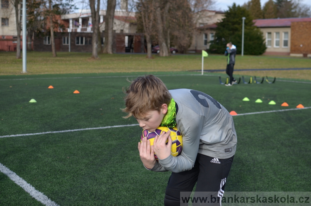BFŠJCH - Zima 2016 - 11.2.2016