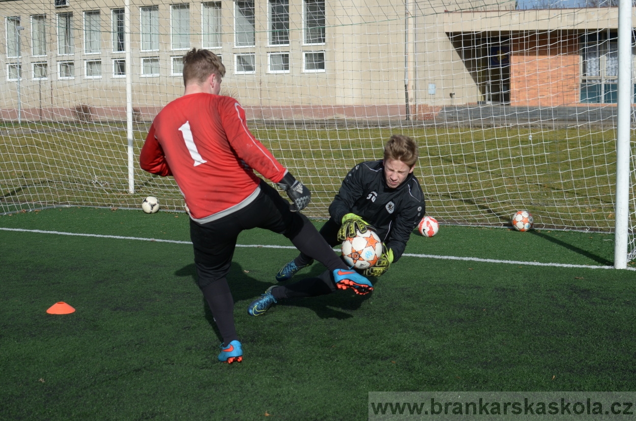 BFŠJCH - Zima 2016 - 11.2.2016