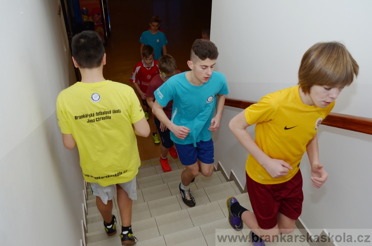 BFŠJCH - Zima 2016 - 11.2.2016