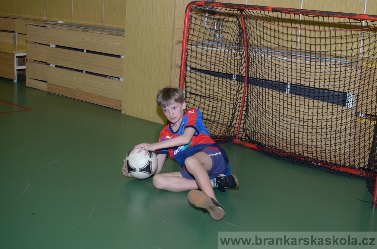 BFŠJCH - Zima 2016 - 11.2.2016