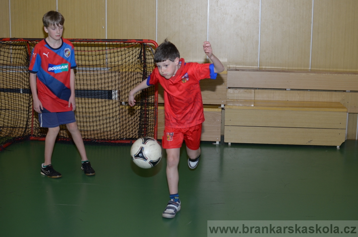 BFŠJCH - Zima 2016 - 11.2.2016