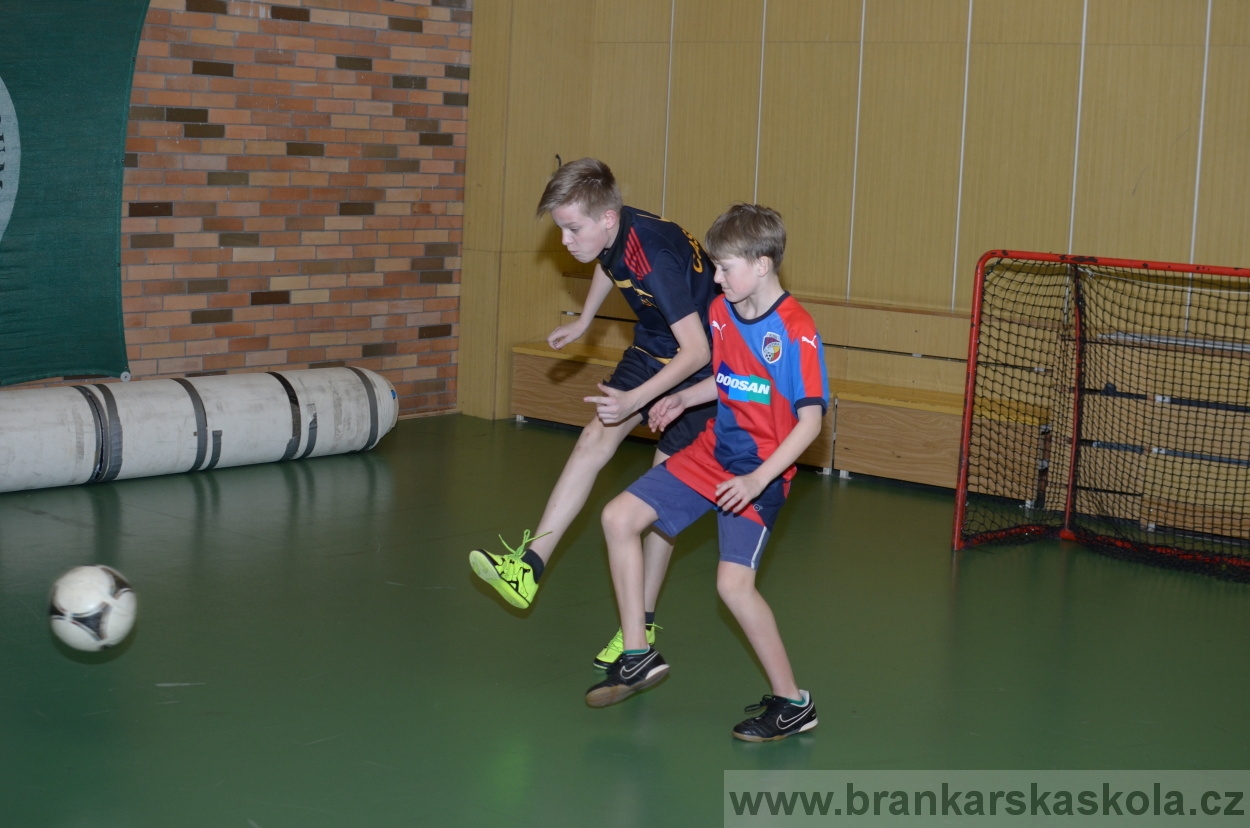 BFŠJCH - Zima 2016 - 11.2.2016