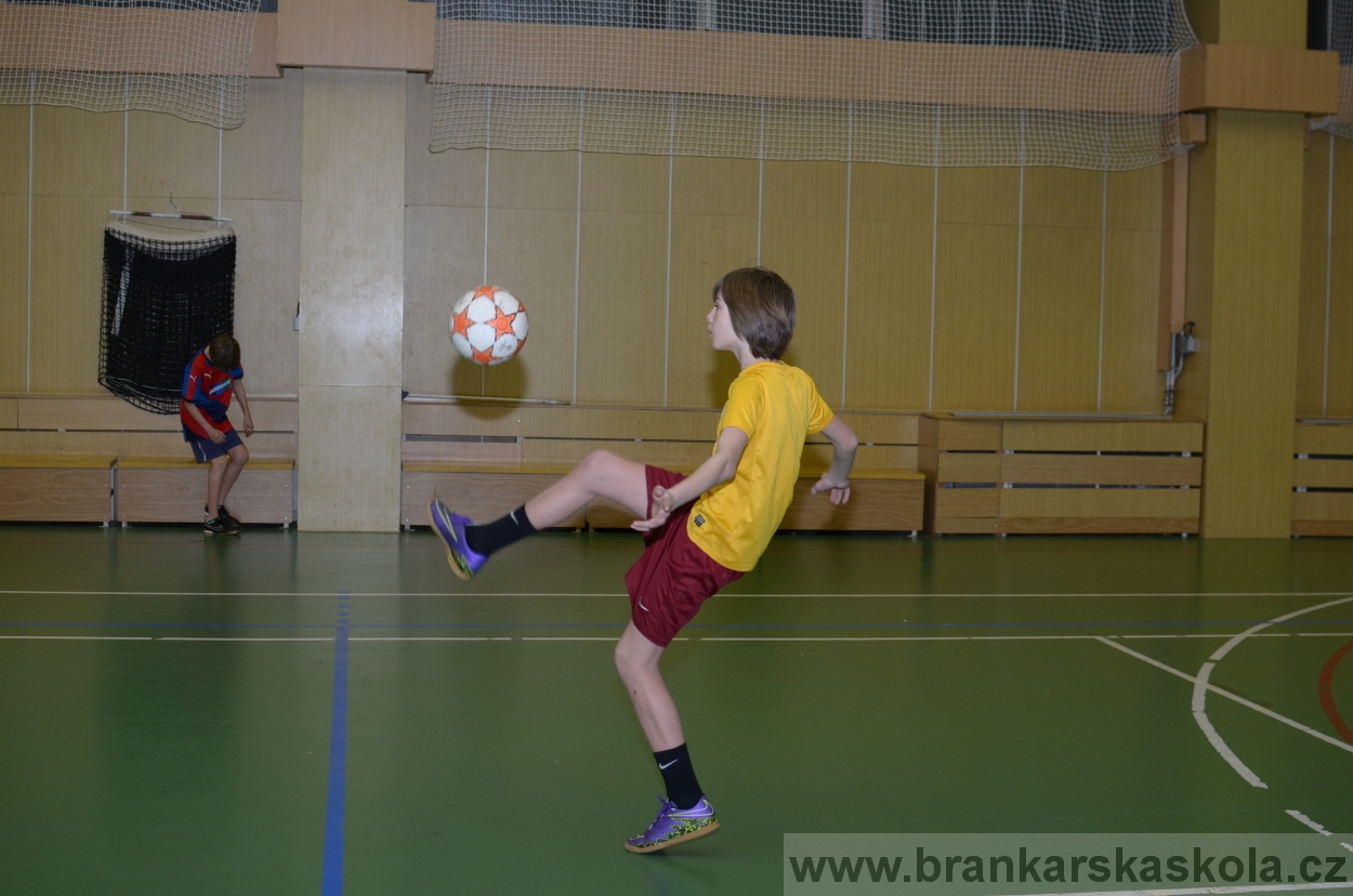 BFŠJCH - Zima 2016 - 11.2.2016