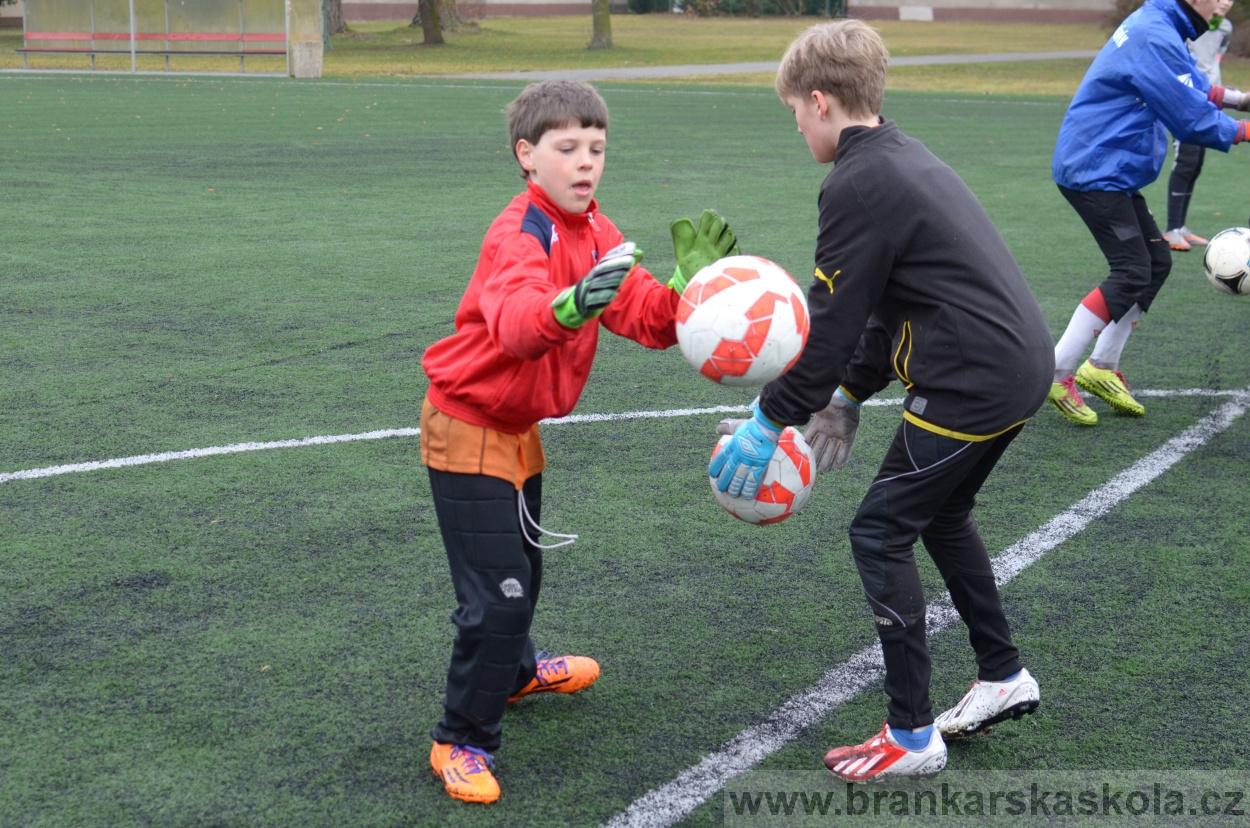 BFŠJCH - Zima 2016 - 12.2.2016