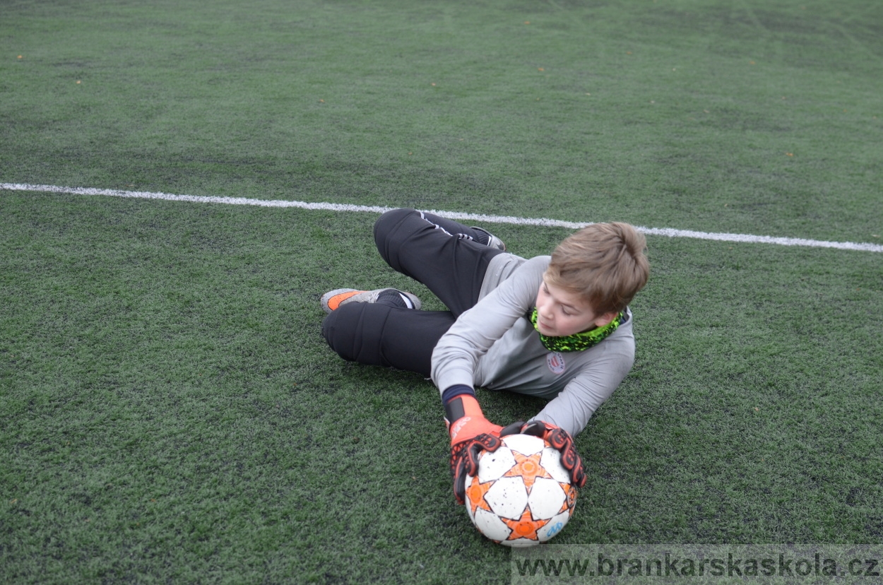 BFŠJCH - Zima 2016 - 12.2.2016