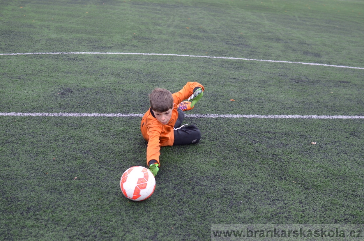 BFŠJCH - Zima 2016 - 12.2.2016