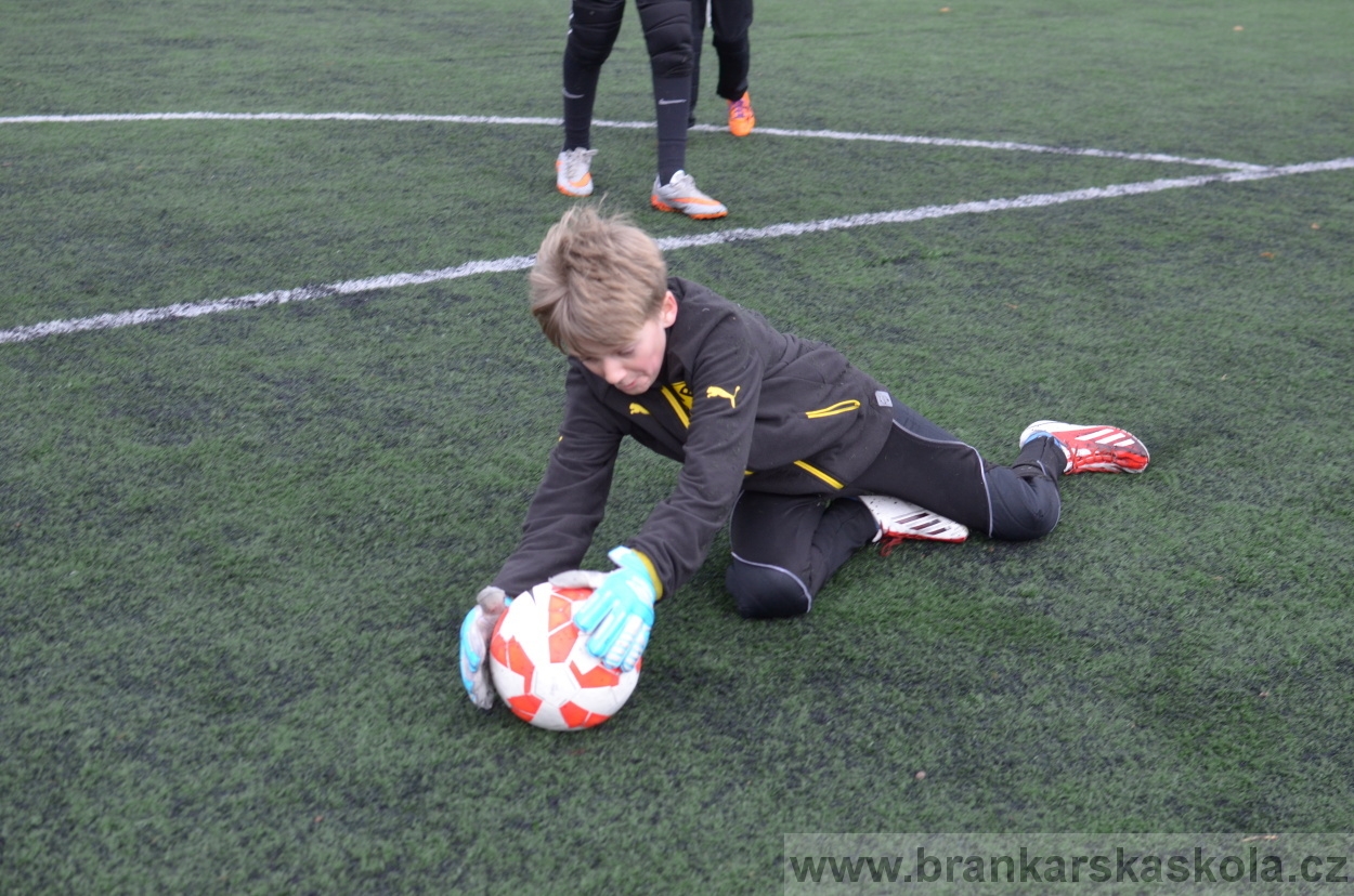 BFŠJCH - Zima 2016 - 12.2.2016