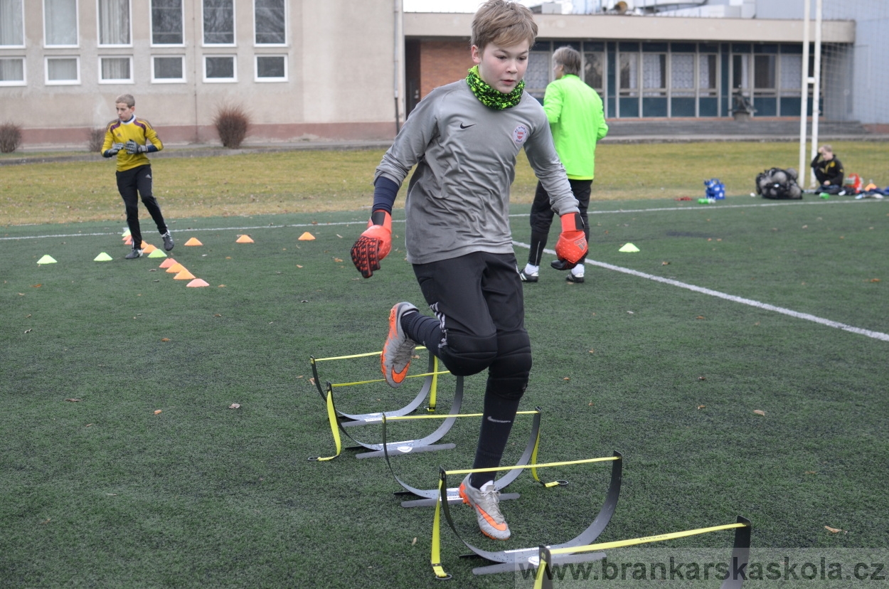 BFŠJCH - Zima 2016 - 12.2.2016