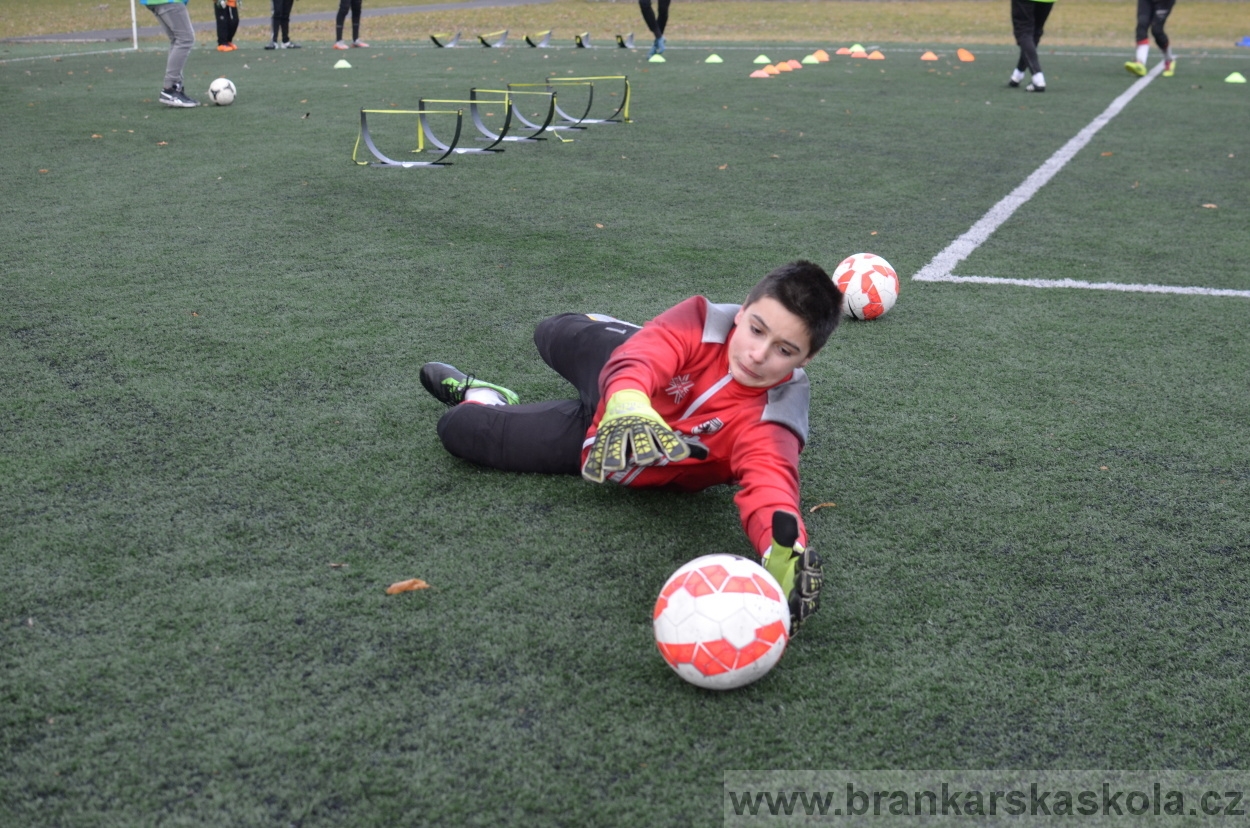 BFŠJCH - Zima 2016 - 12.2.2016