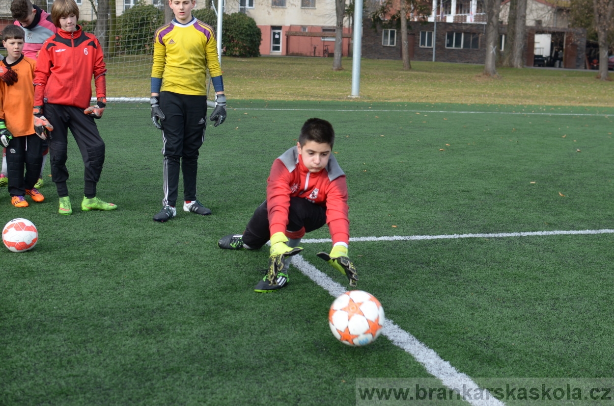 BFŠJCH - Zima 2016 - 12.2.2016