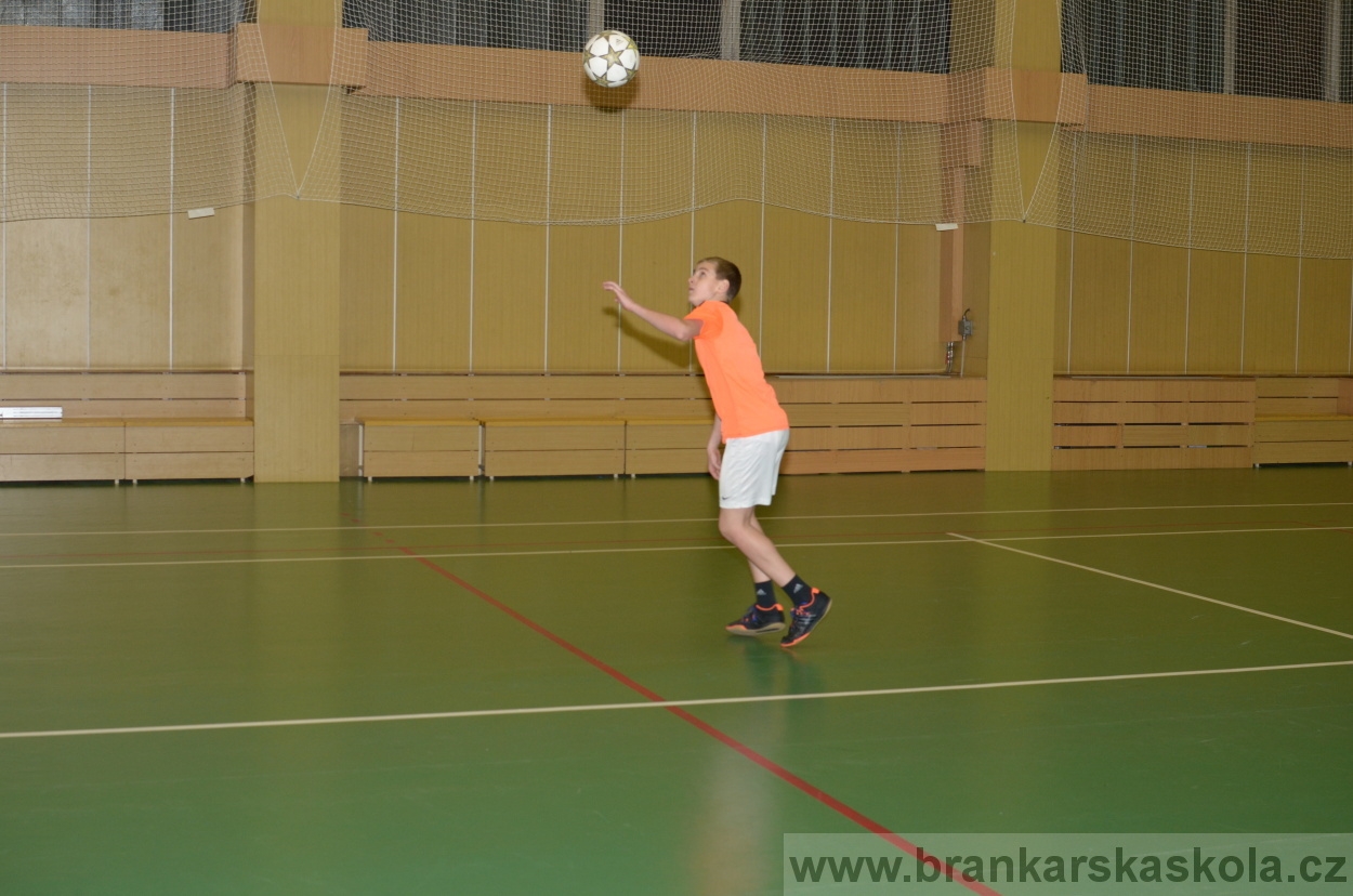 BFŠJCH - Zima 2016 - 7.2.2016