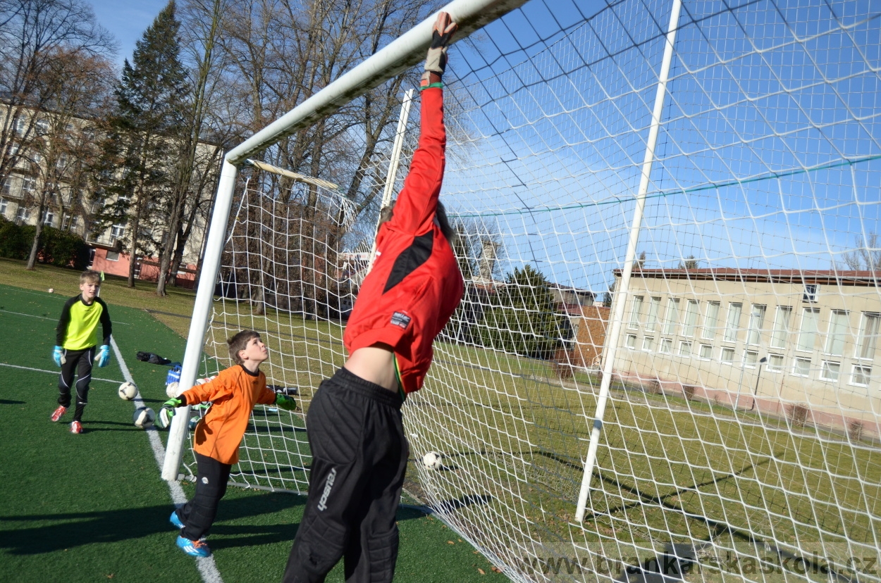BFŠJCH - Zima 2016 - 8.2.2016