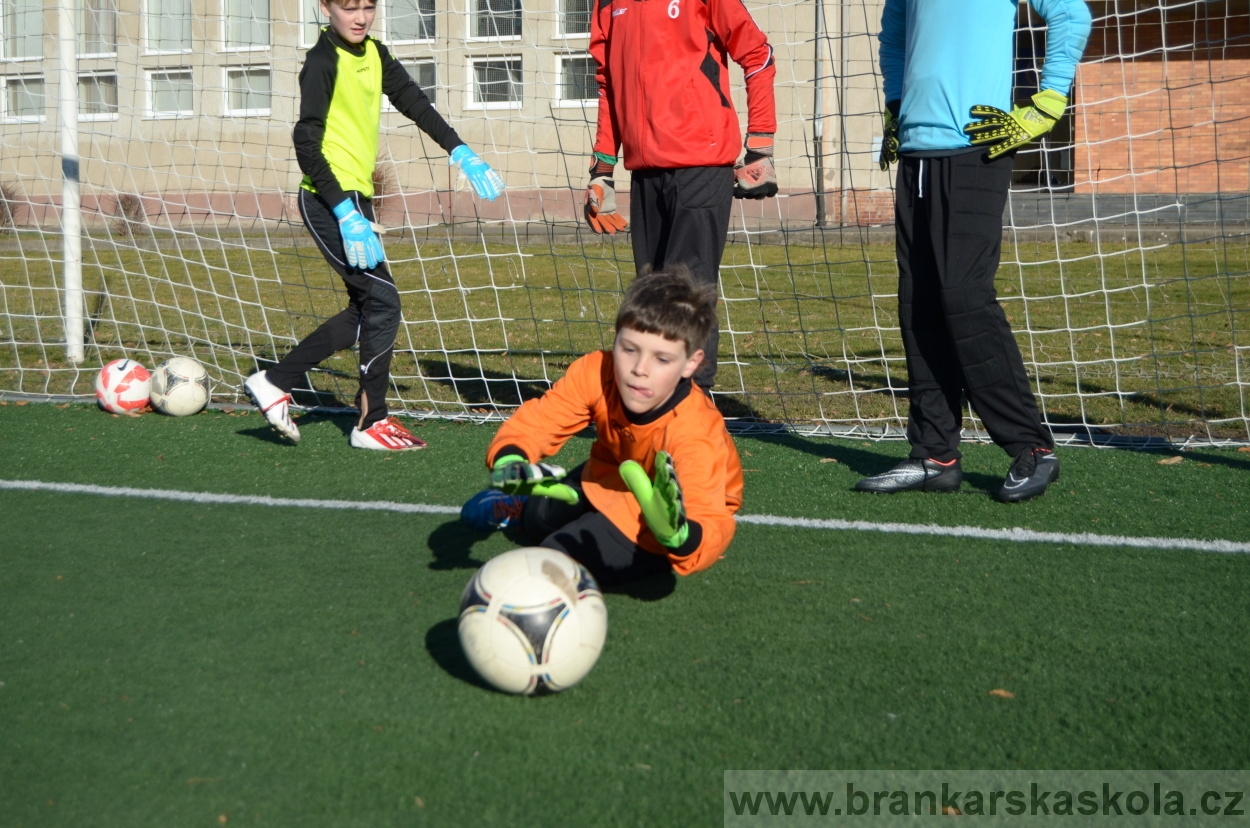 BFŠJCH - Zima 2016 - 8.2.2016