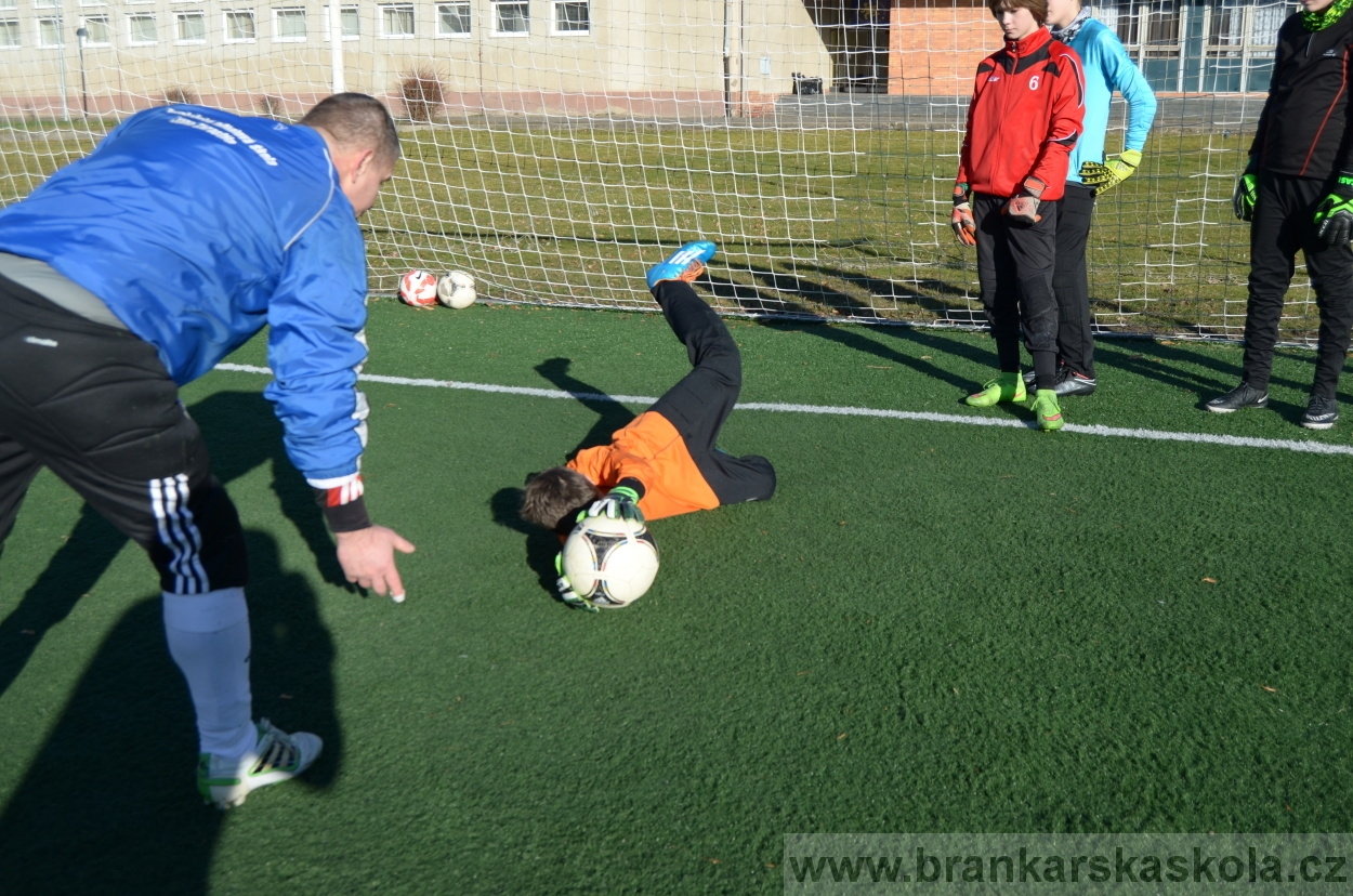 BFŠJCH - Zima 2016 - 8.2.2016