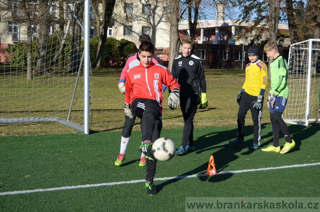 BFŠJCH - Zima 2016 - 8.2.2016