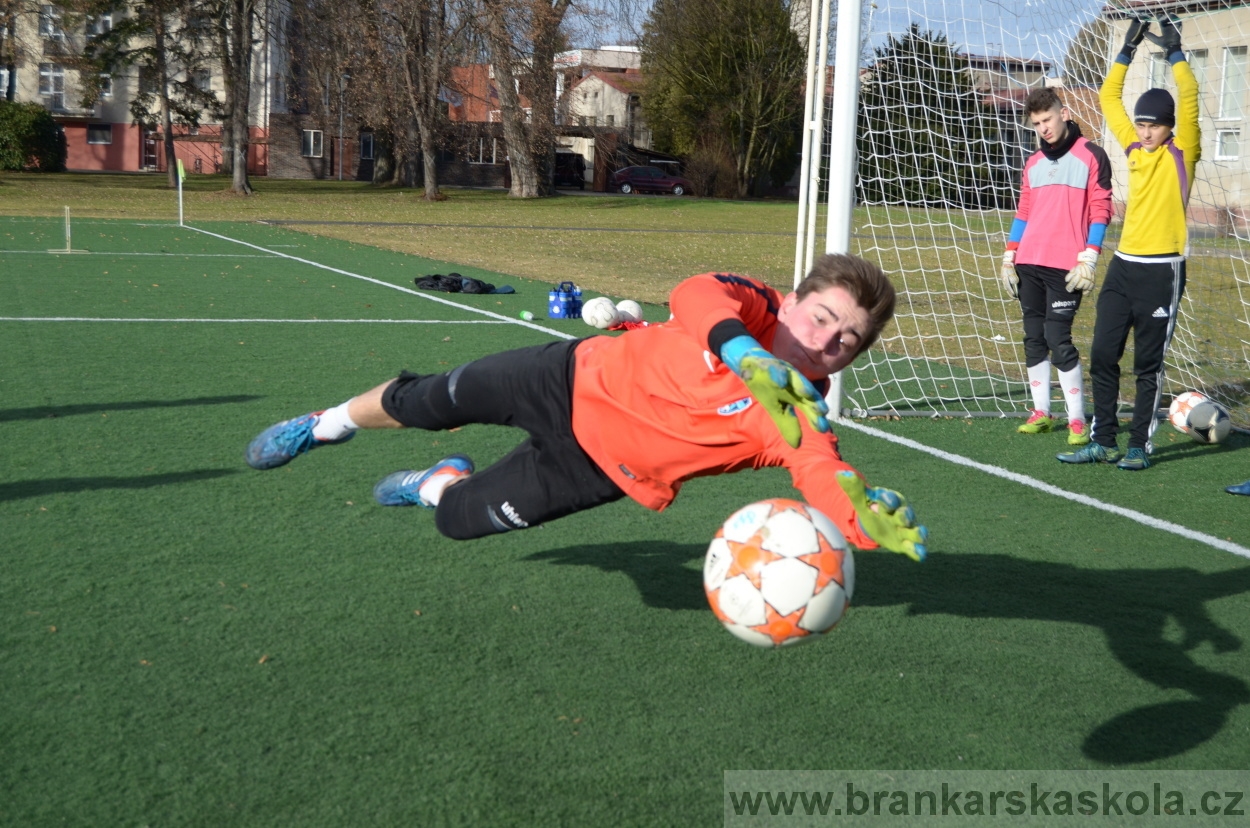 BFŠJCH - Zima 2016 - 8.2.2016