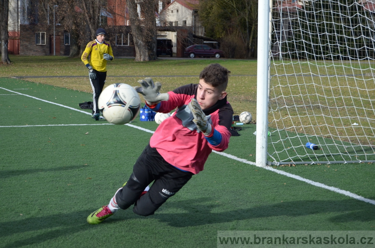 BFŠJCH - Zima 2016 - 8.2.2016