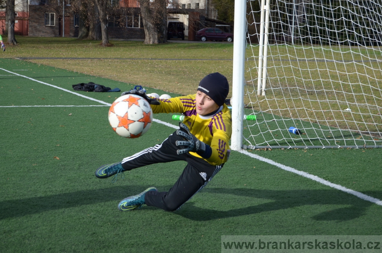 BFŠJCH - Zima 2016 - 8.2.2016