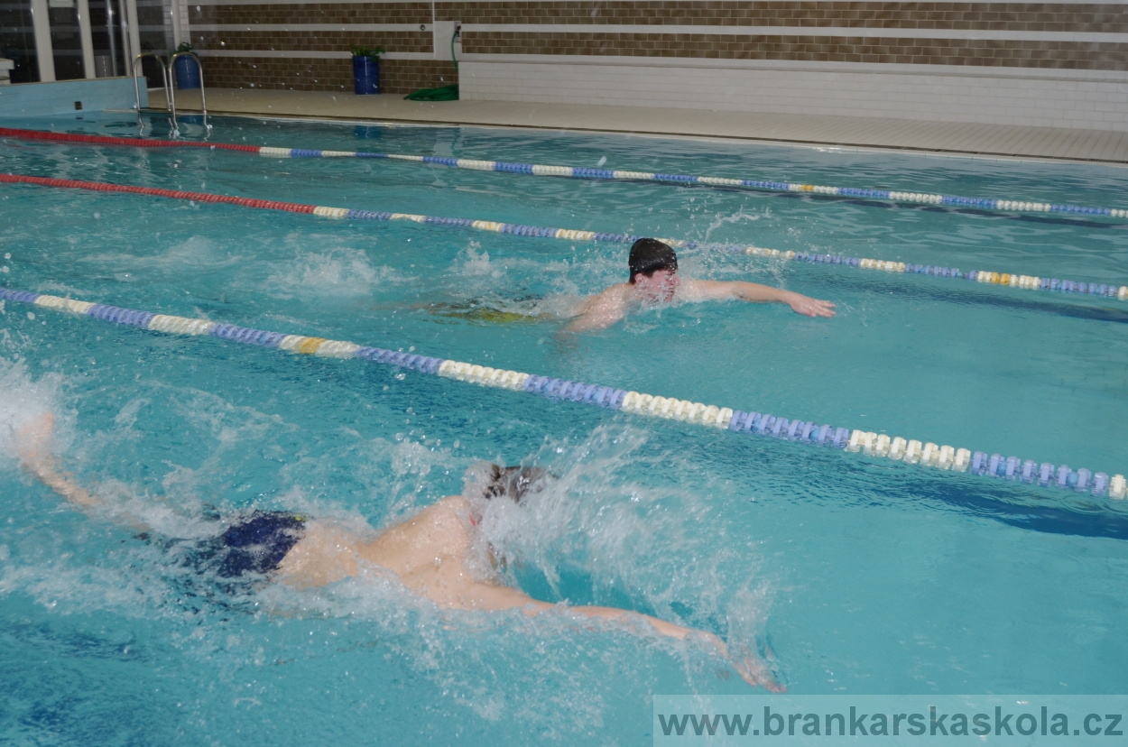 BFŠJCH - Zima 2016 - 8.2.2016