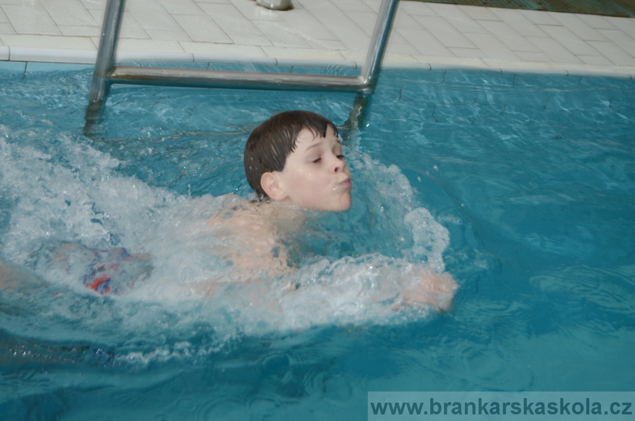 BFŠJCH - Zima 2016 - 8.2.2016