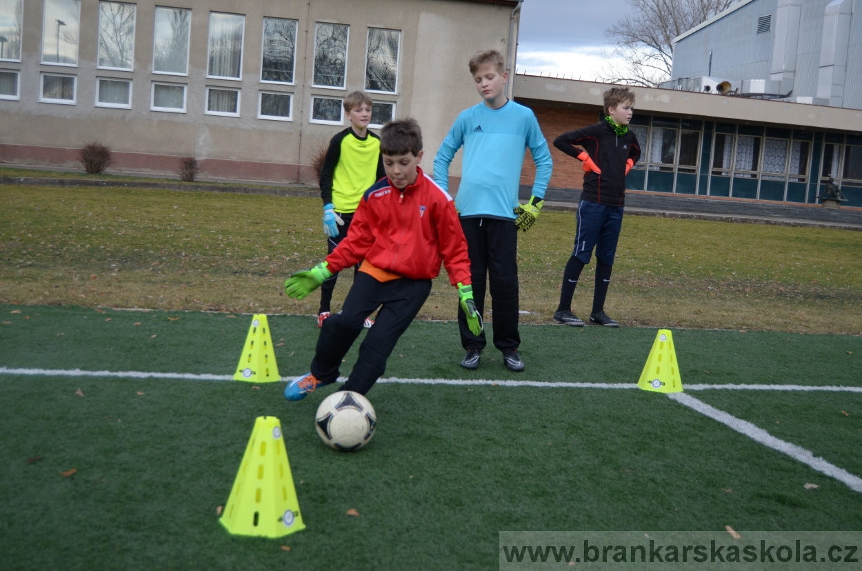 BFŠJCH - Zima 2016 - 8.2.2016