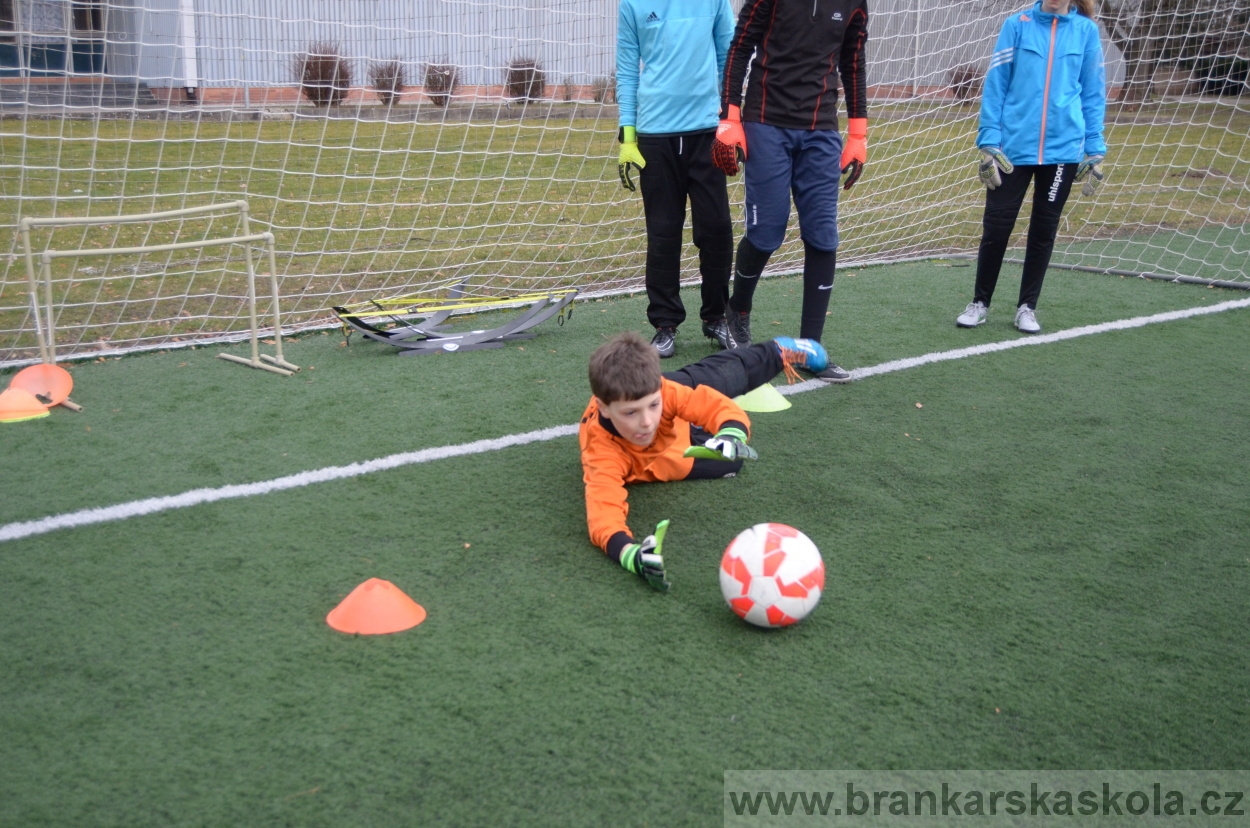 BFŠJCH - Zima 2016 - 8.2.2016